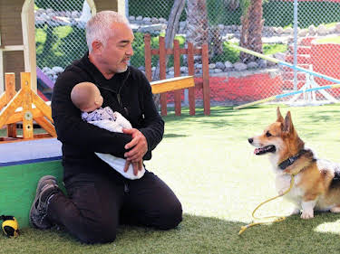 04:00: Cesar Millan: Better Human Better Dog - Bessere Menschen, bessere Hunde | Sixx | 5/9 2026