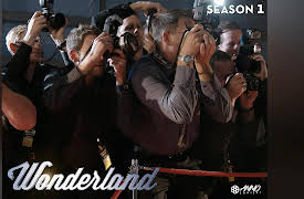 Wonderland: Fear Of Missing Out