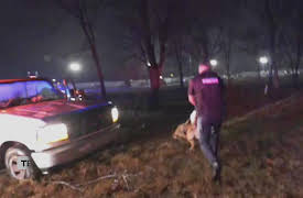 Live PD: Greatest Shifts Season 1: Live PD: Greatest Shifts - 619