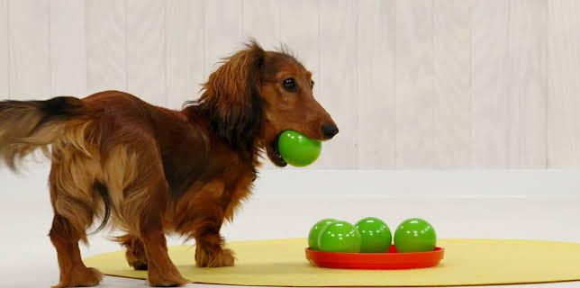 17:00: Minimáná | NRK Super | 11/27 2025