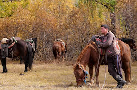 Fish or Die  Season 1: Lair of the River Wolf