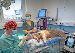 Tierretter unterwegs in Mitteldeutschland