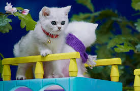 Mittens and Pants: Nigh Night Pants