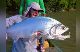 Wild Fish Wild Places: Vampire Fish of La Macarena, Colombia part 1