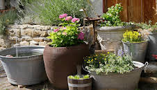 Schnittgut. Alles aus dem Garten