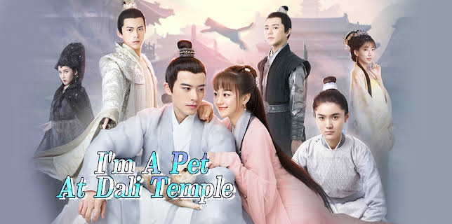 I'm A Pet At Dali Temple