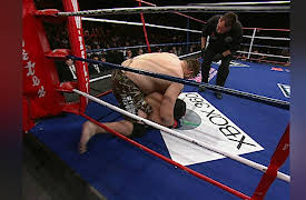 MMA Plus Season One: Roy Nelson vs. Vince Lucero