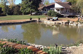 The Pool Master: Episode 7