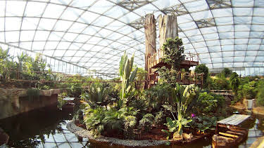 21:00: Das Gondwanaland in Leipzig: Urwald in der Großstadt | MDR Fernsehen | 4/7 2026