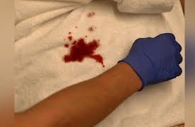 Sunshine Slayings: Pamela