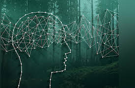 Outdoor Fundamentals: Everything You Need to Know to Stay Safe: How Emotions Affect Your Decision Making