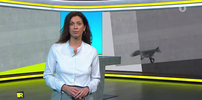 01:00: Report Mainz | SR Fernsehen | 1/30 2026