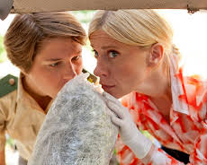 Mord mit Aussicht (S02/E04)