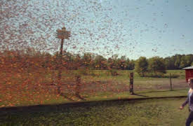 Under The Dome, Season 1: Blue On Blue