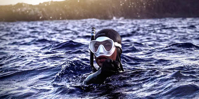 Deadly Sharks of Paradise (2023)