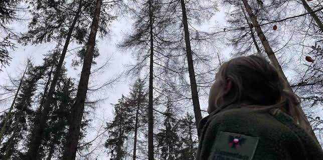 01:05: Die Nordreportage: Die neue Försterin im Stadtwald Lübeck | NDR Fernsehen | 1/15 2026