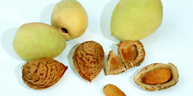 15:30: Schnittgut. Alles aus dem Garten | BR Fernsehen | 1/27 2026