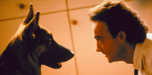 Superagente k-9 (1989)