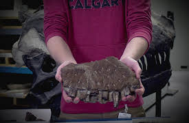 Mysteries Unearthed with Danny Trejo Season 1: Killer Finds