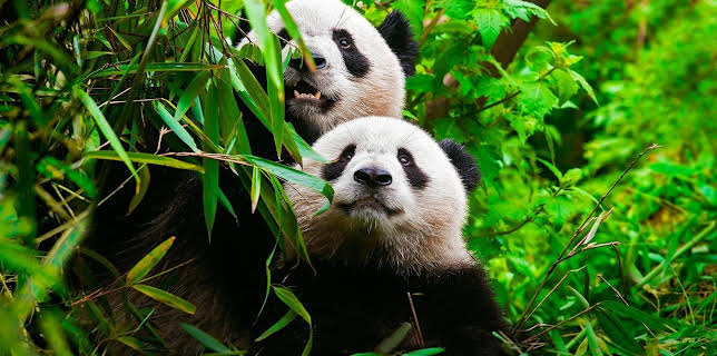 20:00: Planet der Liebe (4/4) | SR Fernsehen | 6/15 2025