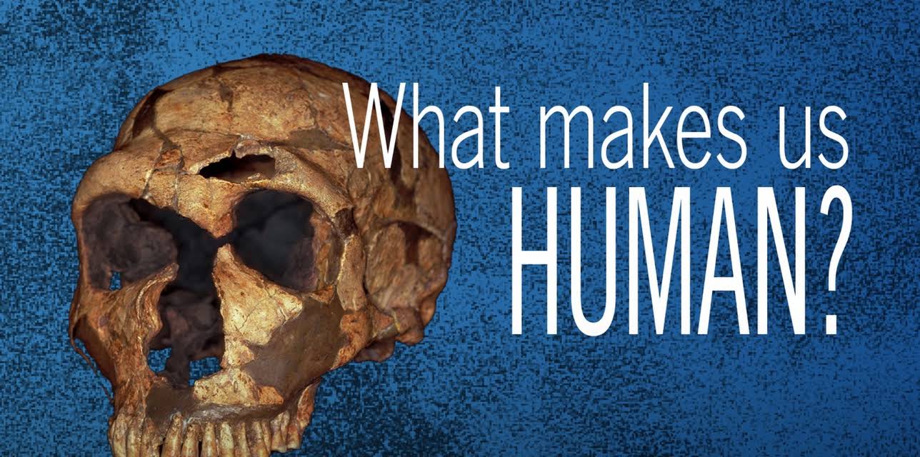 What Makes Us Human? (2012)