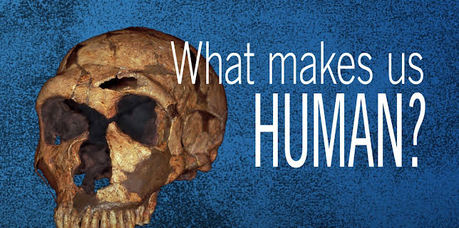 What Makes Us Human? (2012)