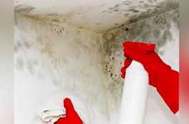 An Introduction to Infectious Diseases: Moldy Menaces and Fungal Diseases