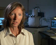 Medical Detectives - Geheimnisse der Gerichtsmedizin