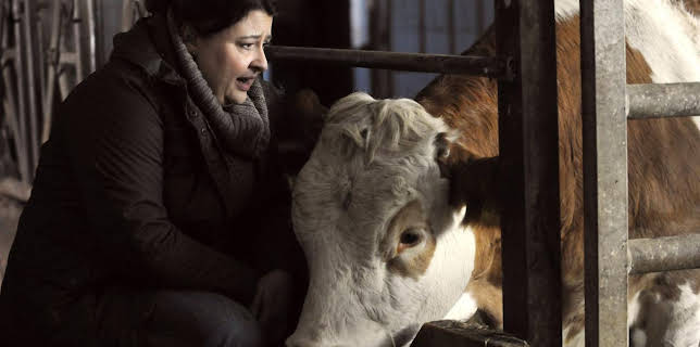 09:40: Dahoam is Dahoam (1072) | BR Fernsehen | 12/4 2025