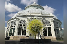 Museum Access: The New York Botanical Garden