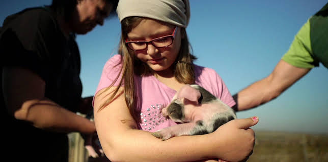 16:15: Land - Liebe - Luft | SWR Fernsehen BW | 3/15 2026