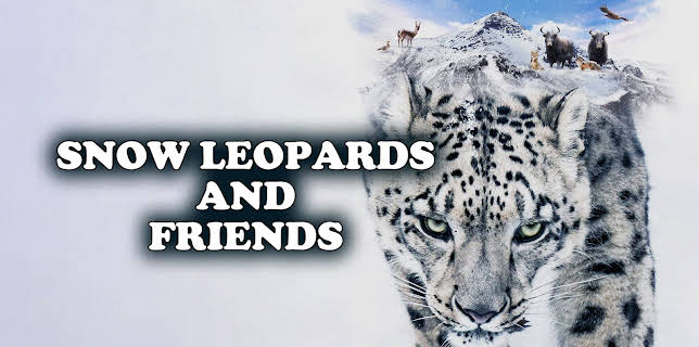 Snow Leopards and Friends (2023)