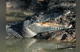 The Outback: Season 1: Return of the Wet