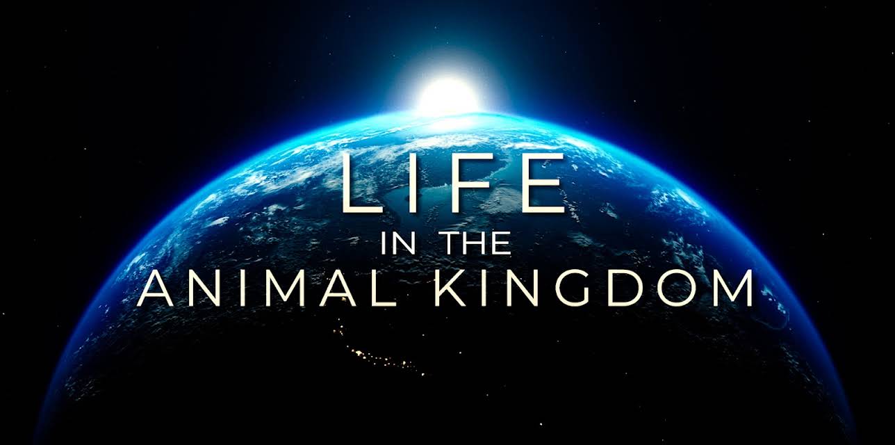 Life in the Animal Kingdom