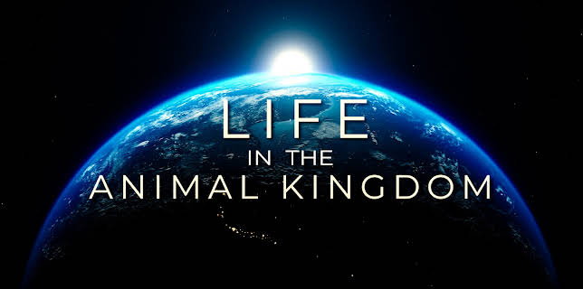 Life in the Animal Kingdom