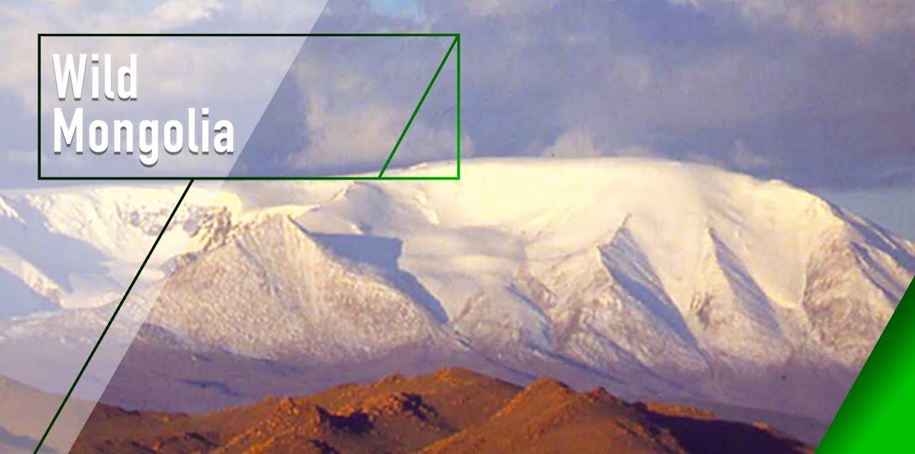 Wild Mongolia (2006)