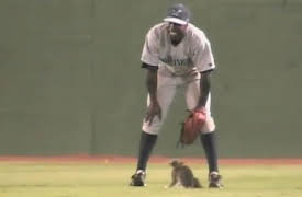 Sports Gone Wild: Season 1 Sports Gone Wild: College Basketball Brawls, Exploding Car Ramp, Naked Luging