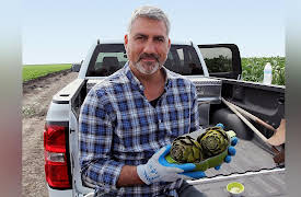 State Plate: California