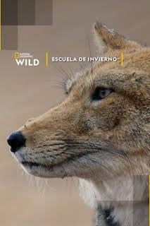 16:15: Escuela de invierno | Nat Geo Wild | 4/2 2026
