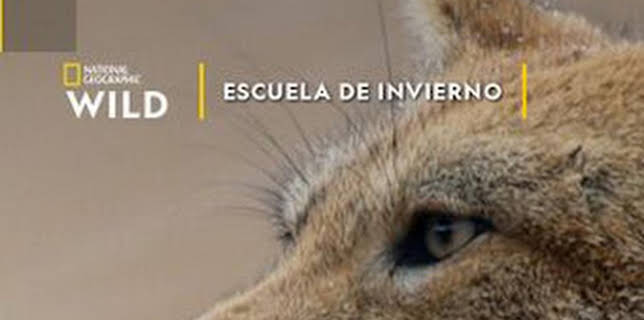 19:45: Escuela de invierno | Nat Geo Wild | 12/28 2025