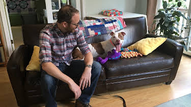 15:00: Pit Bulls & Parolees (S8 E14) (S8) | Animal Planet | 9/18 2026