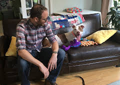 Pit Bulls & Parolees