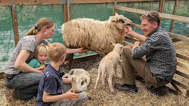 14:30: Die Nordreportage: Lammzeit bei den Großstadtschäfern | NDR Fernsehen | 3/27 2026