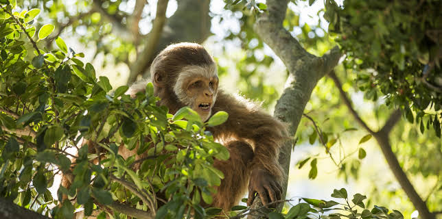 13:30: Die ersten Menschen | ZDFinfo | 12/5 2025