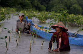The Longest Day Climate Change in Real Time: Oceans