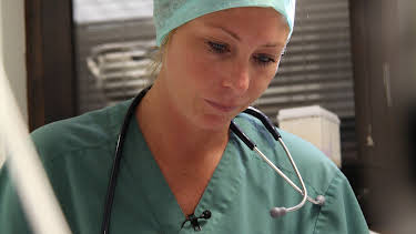 00:00: Veterinärerna | TV4 Fakta | 9/10 2025
