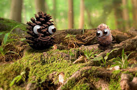 Pops and Peanut: Season 1: Bees