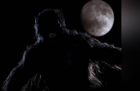 Bigfoot Tales of Darkness: The Journey