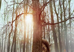 Donde viven los monstruos