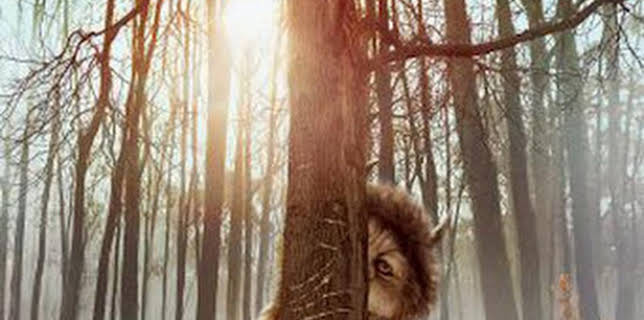 09:24: Donde viven los monstruos | M. Drama | 12/25 2025